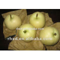 Concentrate Type and Juice,Fruit Juice Product Type Pear